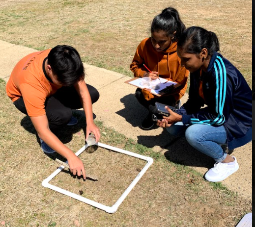 Students conduct an outdoor field investigation, placing a measuring frame on grass while recording observations on a clipboard.